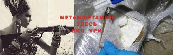 прущие грибы Верея