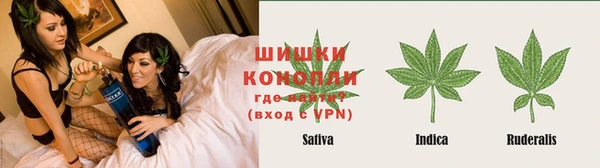 прущие грибы Верея
