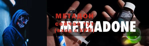 прущие грибы Верея