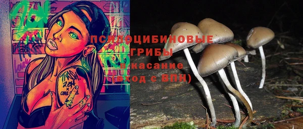 дмт Семилуки