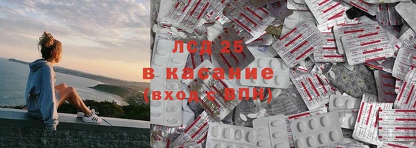 прущие грибы Верея