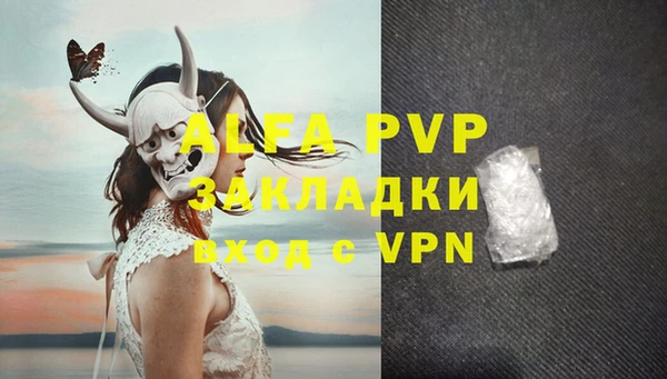 прущие грибы Верея