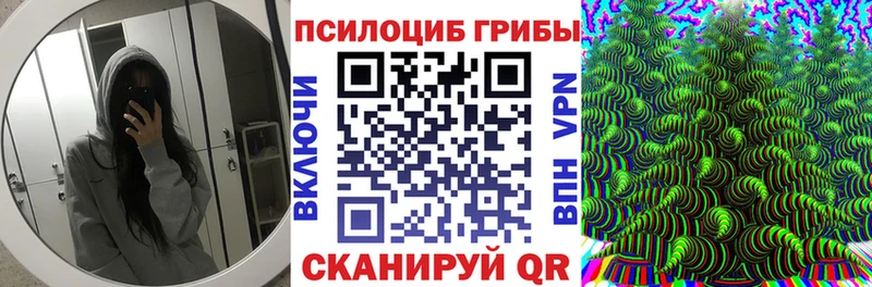 где купить наркотик  Каменногорск  кракен рабочий сайт  Псилоцибиновые грибы Magic Shrooms 